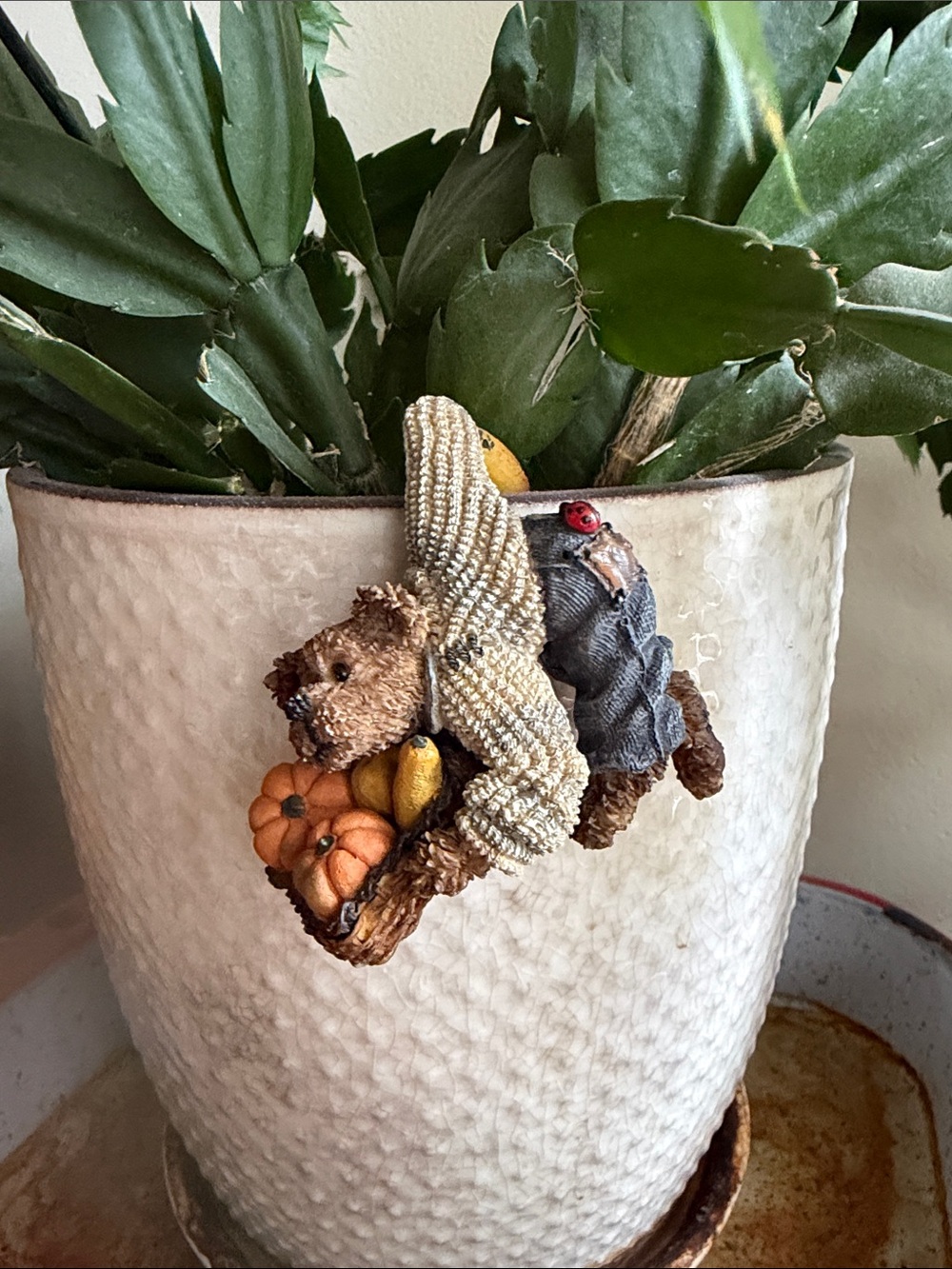 Boyds Bears “Gordy” plant hanger